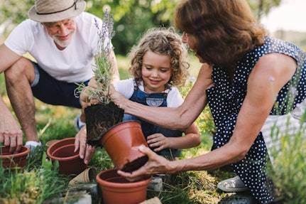 Grandparents and grandchild
